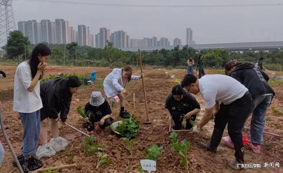 ͼƬ 1.png ͼƬ 1.png