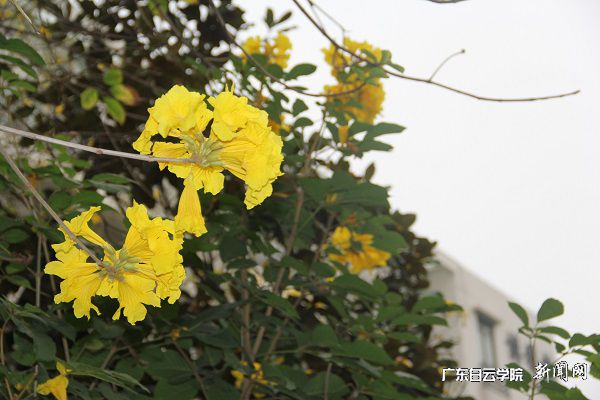 v2veo4Oe_jw0qIbtpYyPL4UPg4-iM4CiLSbw62r8c&oid=2103874463&tid=1341&nid=257651&e= ÏãÆ®¡°²©ÑÅ¡±.jpg