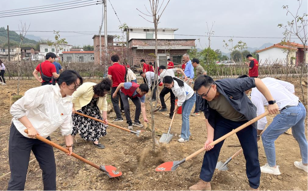 20250414141610488.png Ê×Ò³|Ò¼ºÅÓéÀÖ - ÏàÐÅÆ·ÅƵÄʵÁ¦