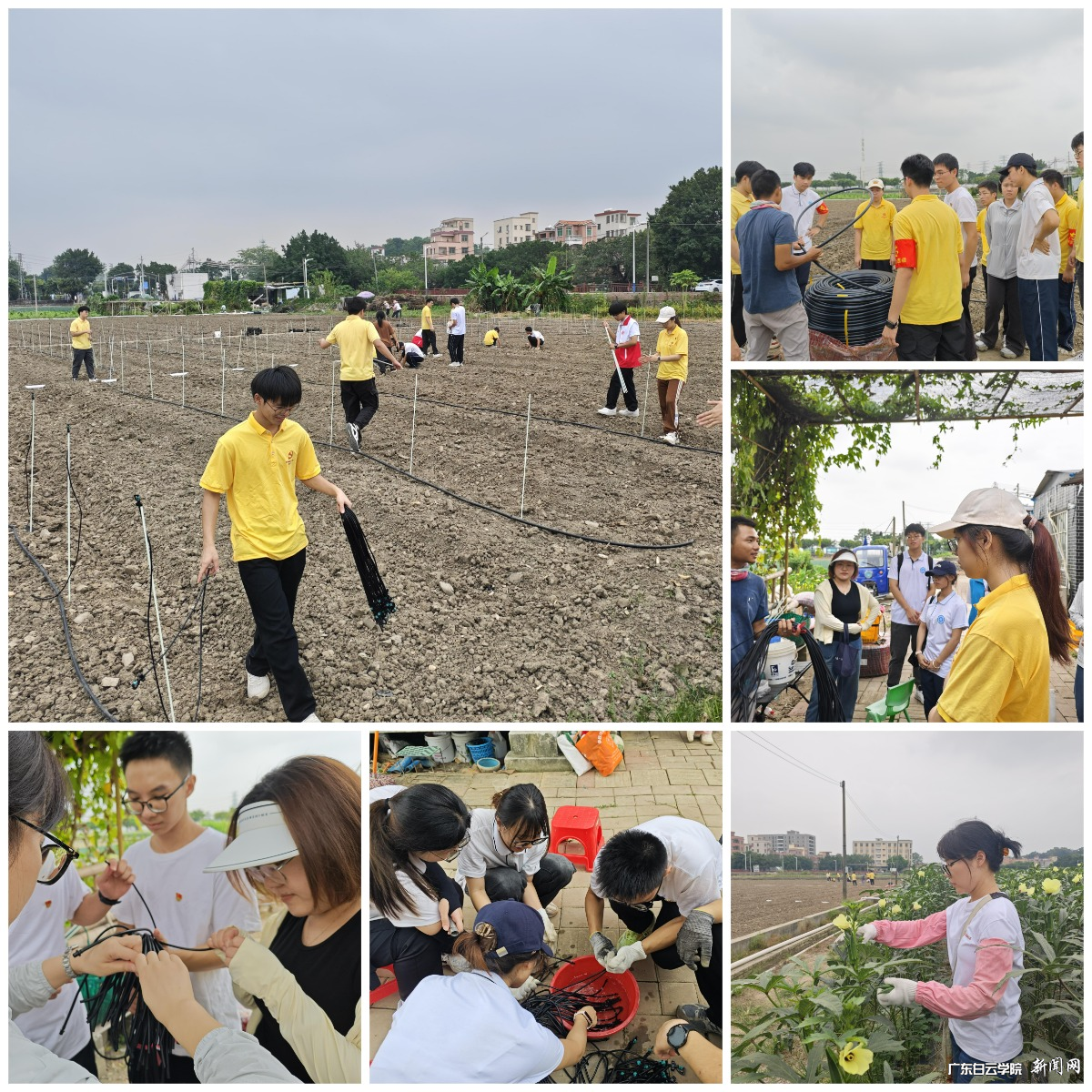 ͼƬ 1.png ͼƬ 1.png