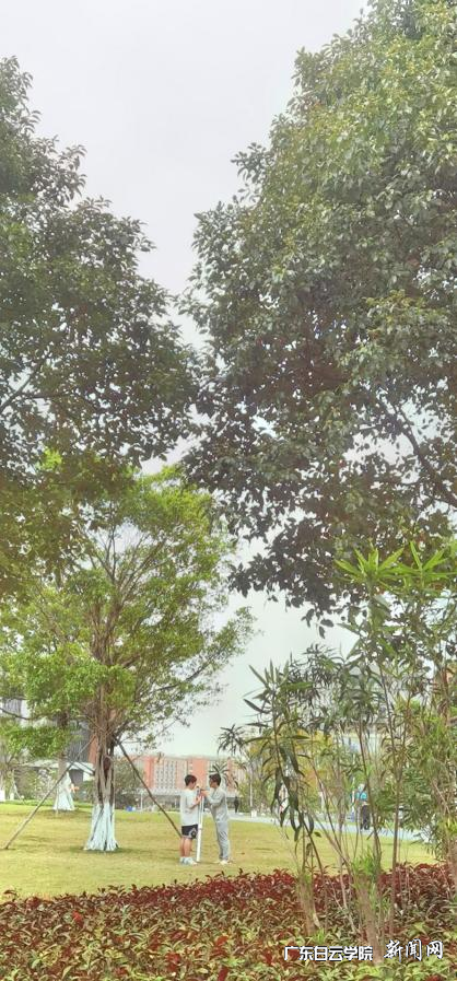 ͼƬ 1.png ͼƬ 1.png