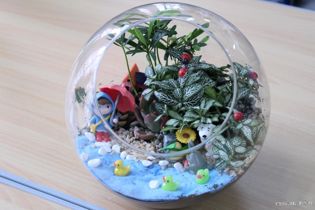 图片 8.png 图片 8.png