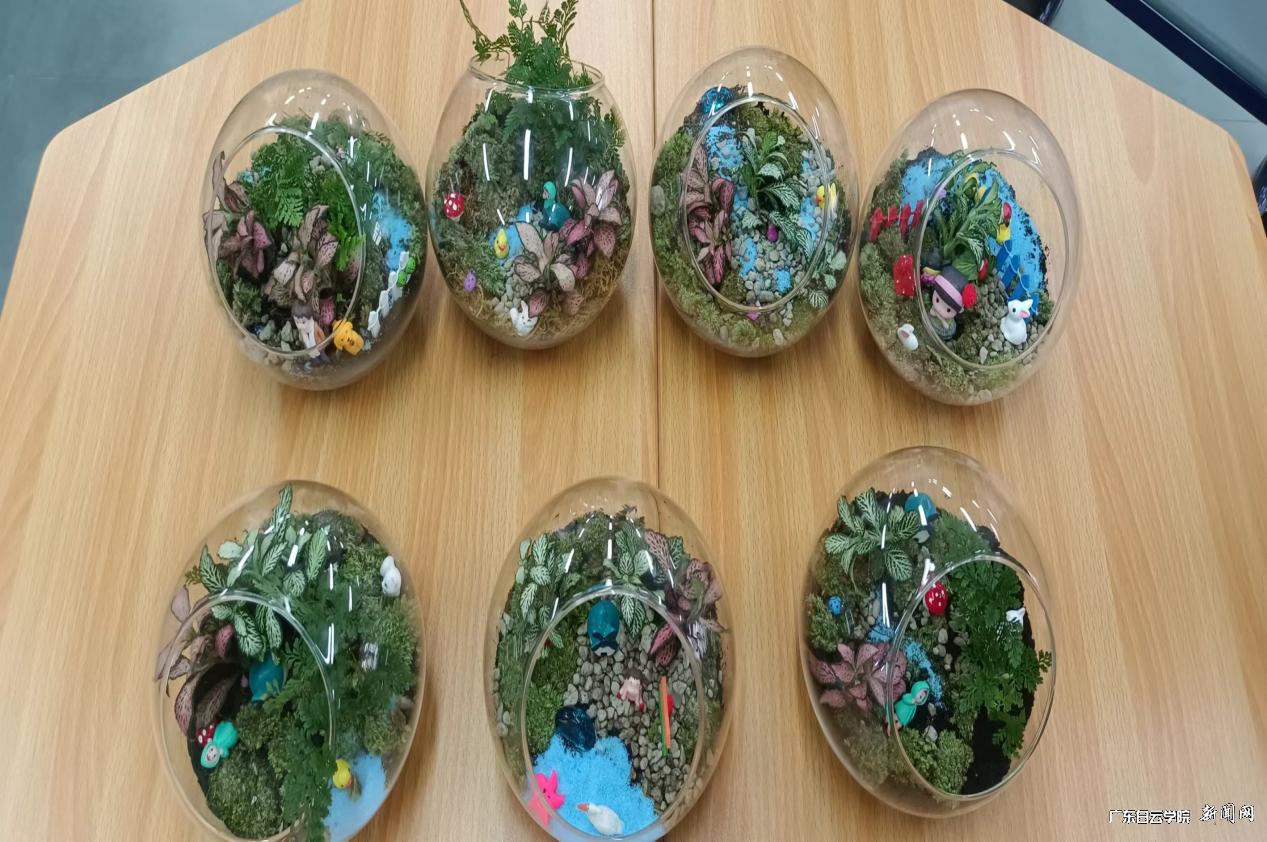 图片 9.png 图片 9.png